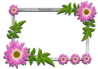 WEBP