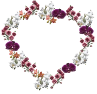 WEBP