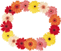 WEBP