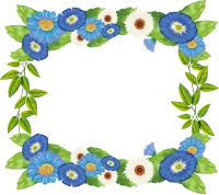 WEBP