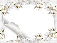 WEBP