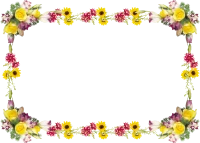 WEBP