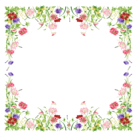 WEBP