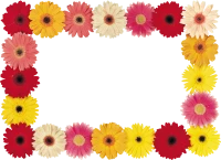 WEBP