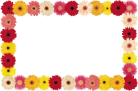 WEBP