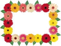 WEBP