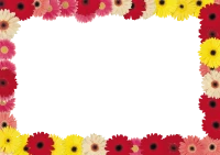 WEBP