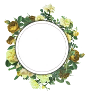 WEBP