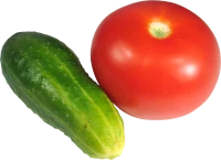 WEBP