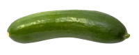 WEBP