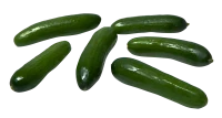 WEBP