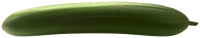 WEBP