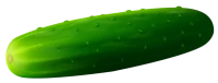 WEBP