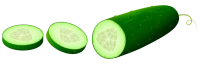 WEBP