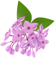 WEBP