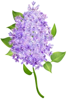 WEBP