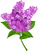 WEBP
