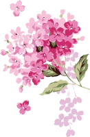 WEBP