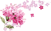 WEBP