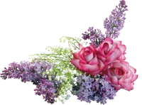 WEBP