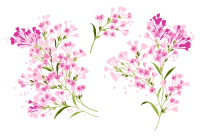 WEBP