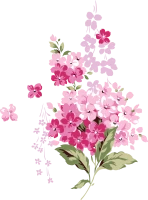WEBP