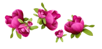 WEBP
