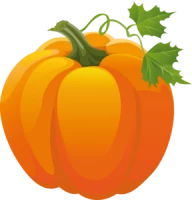 WEBP
