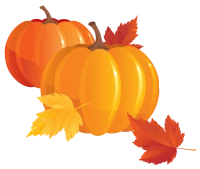 WEBP