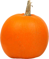 WEBP
