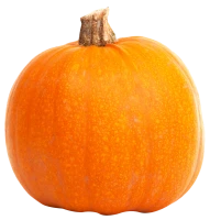 WEBP