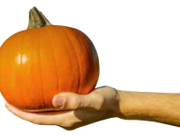 WEBP