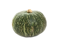 WEBP