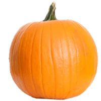 WEBP
