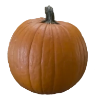 WEBP