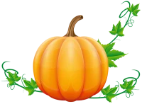 WEBP