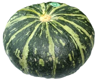 WEBP