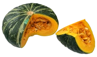 WEBP