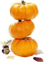WEBP