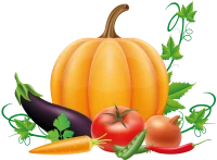 WEBP