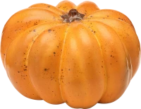 WEBP