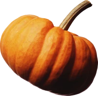 WEBP