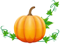 WEBP