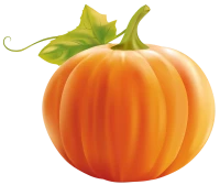 WEBP