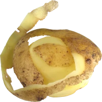 WEBP