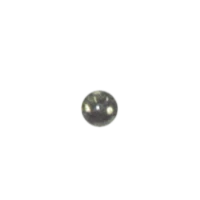 WEBP
