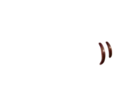 WEBP