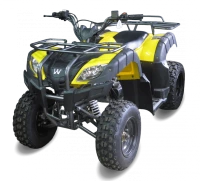 WEBP