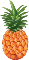 WEBP