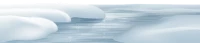 WEBP
